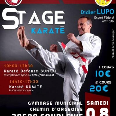 stage Didier luppo Coublevie 8 11 2014