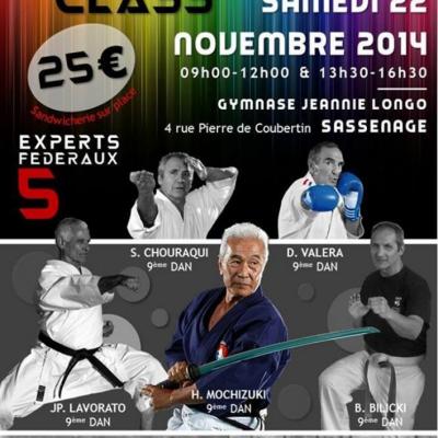 Stage experts  22 11 2014