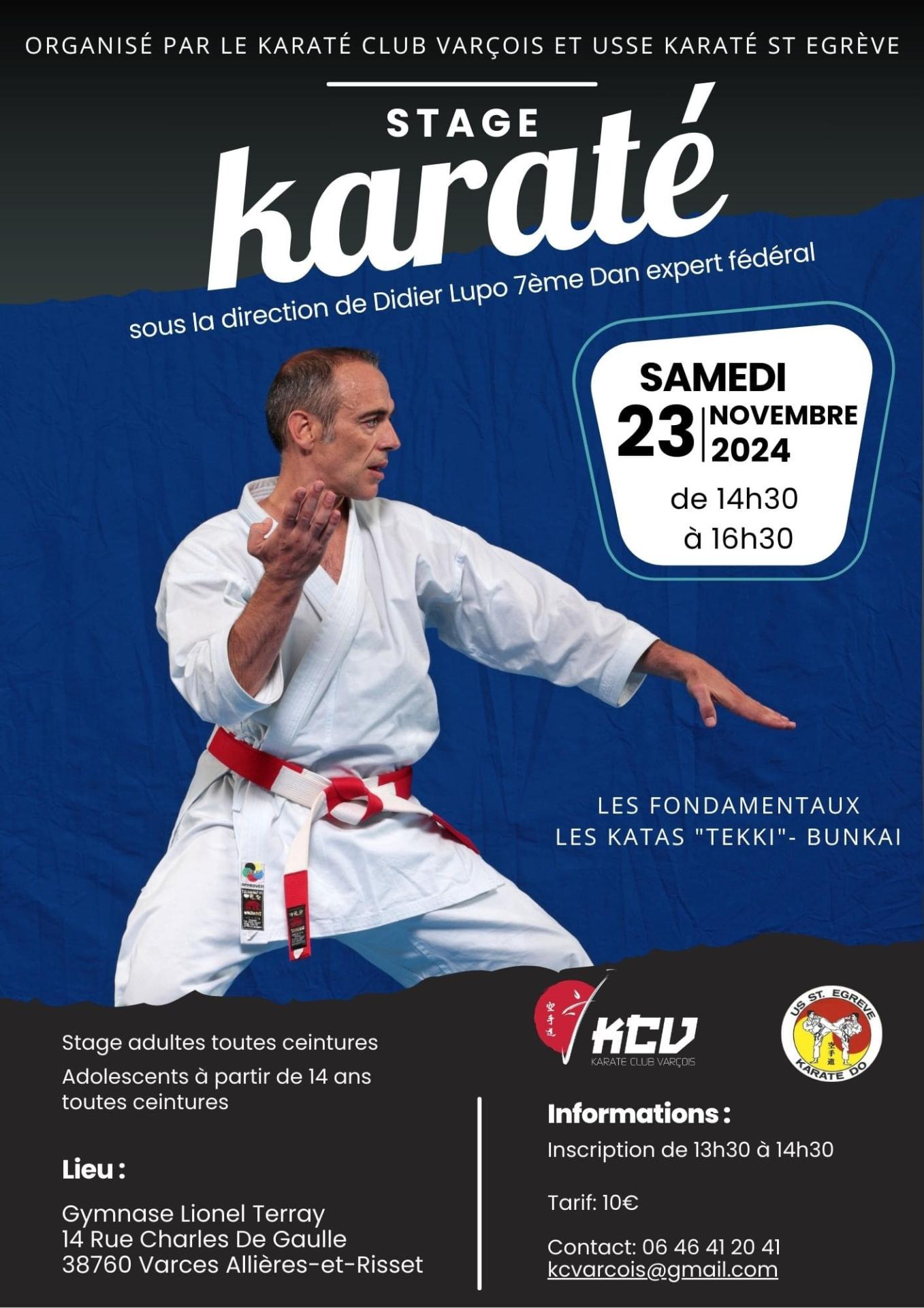 Affiche karate